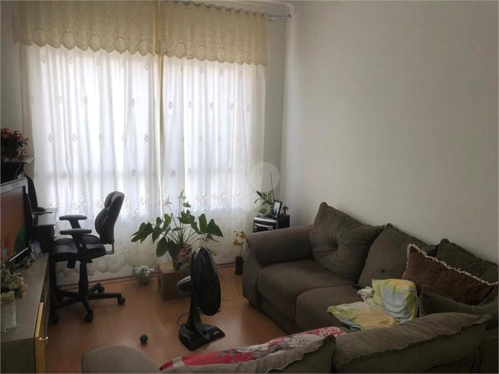 Venda Apartamento Campinas Jardim Guarani REO685189 12