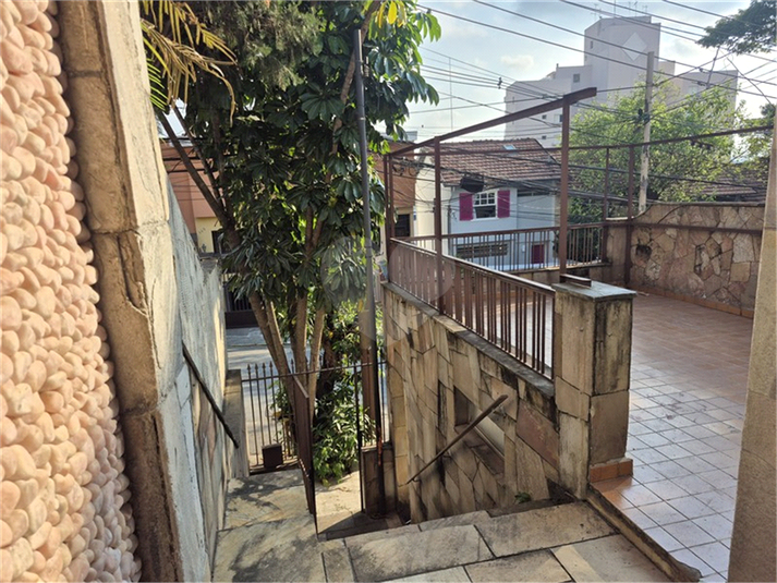 Foto REO685299