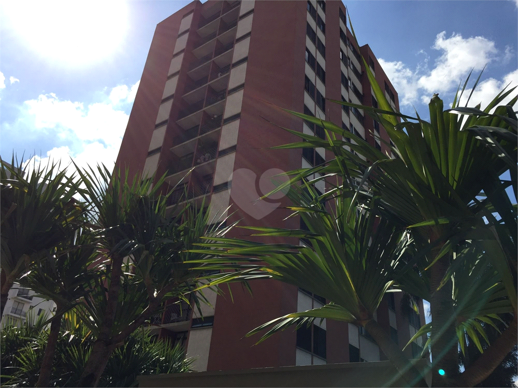 Venda Apartamento São Paulo Vila Campestre REO685403 3