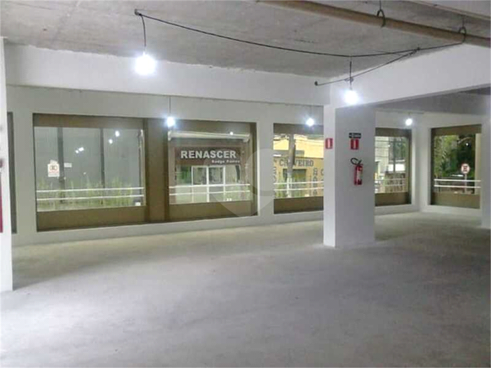Foto REO685467