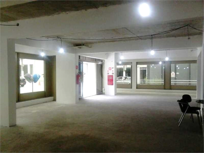 Foto REO685467
