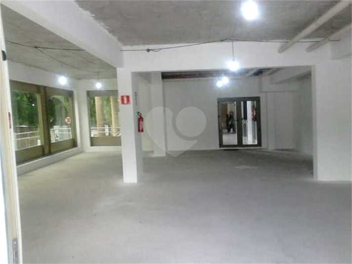Foto REO685467