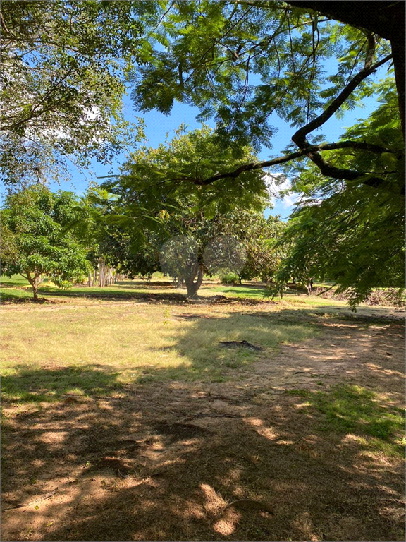 Venda Terreno Piracicaba Dois Córregos REO685502 14