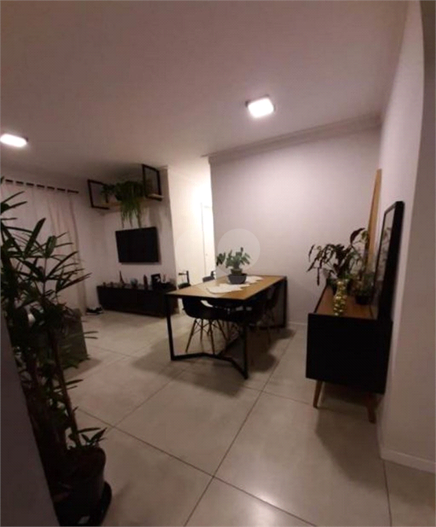 Venda Apartamento São Paulo Vila Matilde REO685898 3