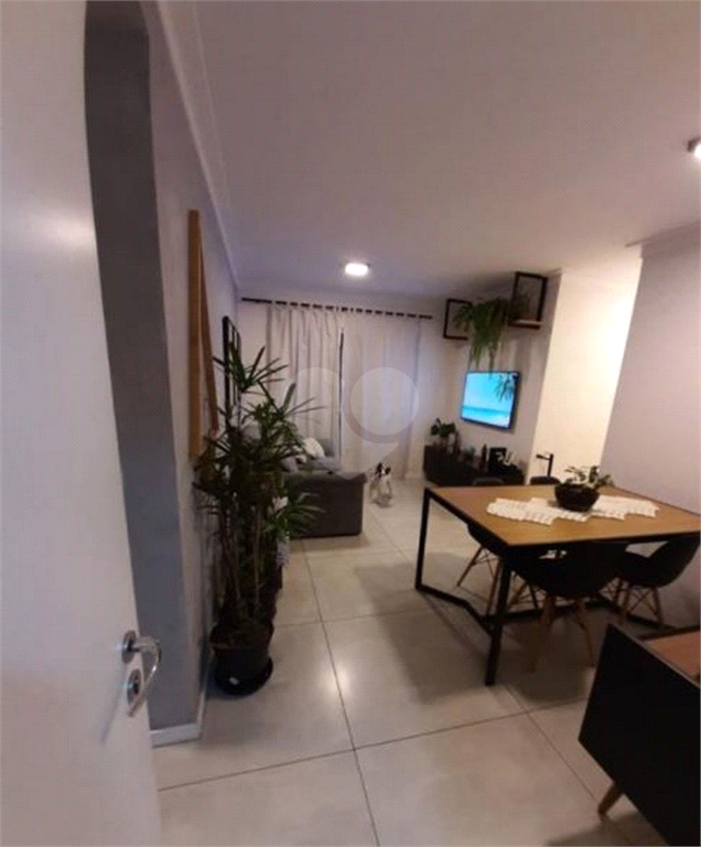 Venda Apartamento São Paulo Vila Matilde REO685898 4