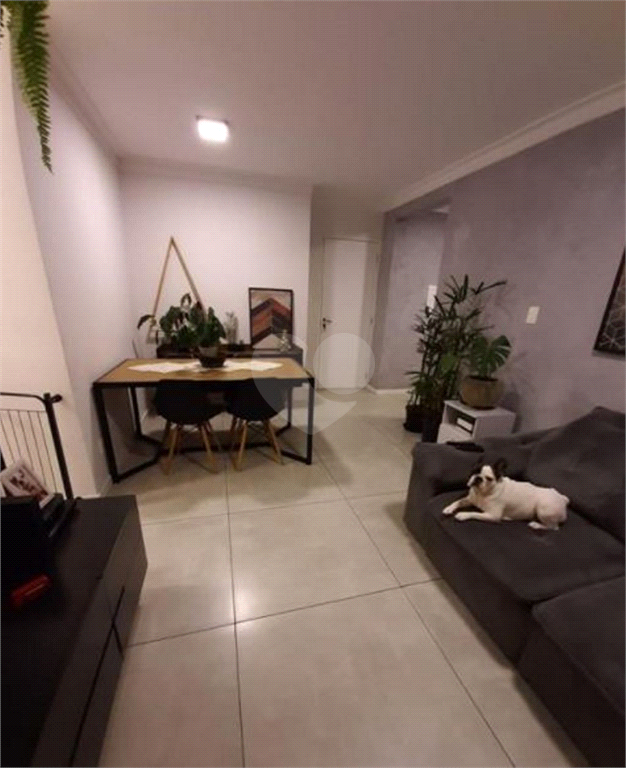 Venda Apartamento São Paulo Vila Matilde REO685898 6