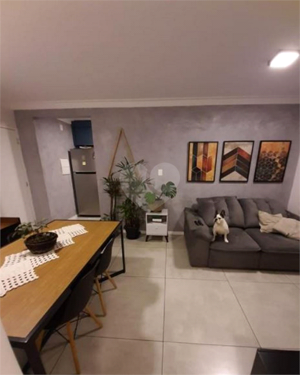 Venda Apartamento São Paulo Vila Matilde REO685898 2