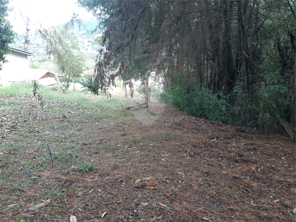 Venda Condomínio Itatiba Capela Do Barreiro REO686088 8