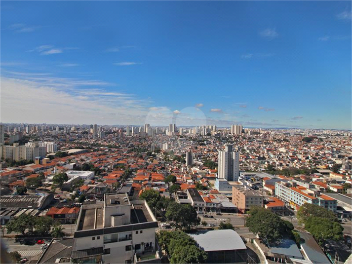 Foto REO686126