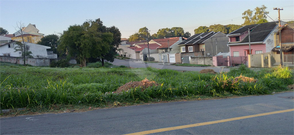 Venda Terreno Curitiba Bairro Alto REO686128 14