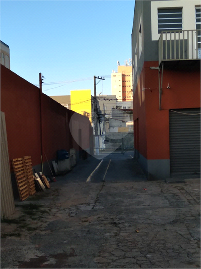 Venda Terreno São Paulo Vila Mascote REO686209 3