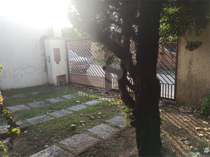 Foto REO686620