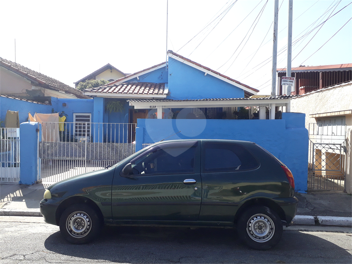 Foto REO686624