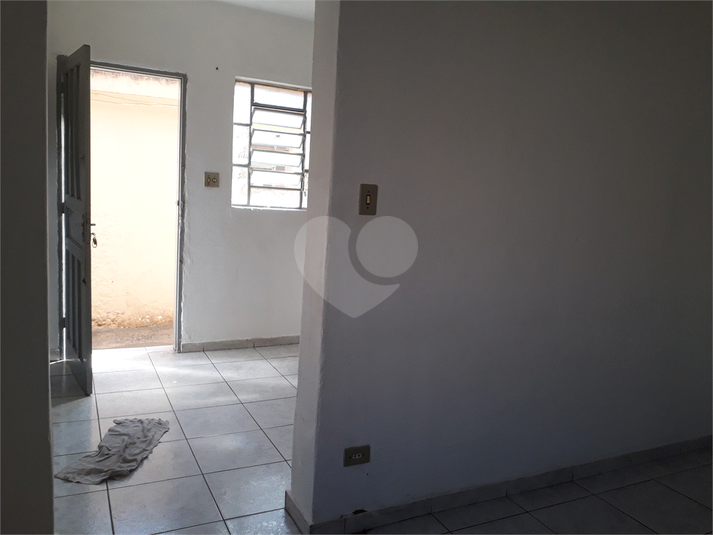 Foto REO686624