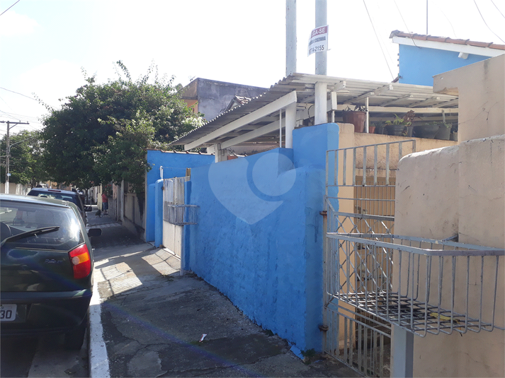 Foto REO686624