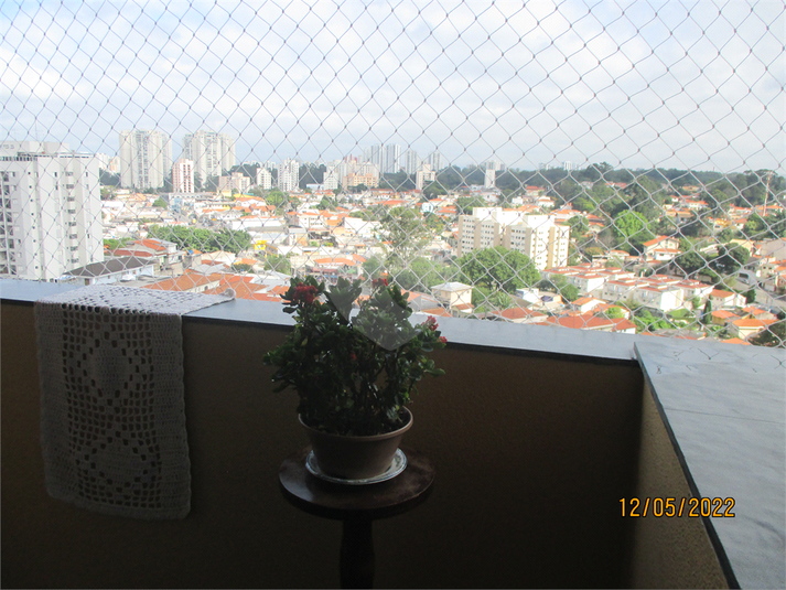 Foto REO686669