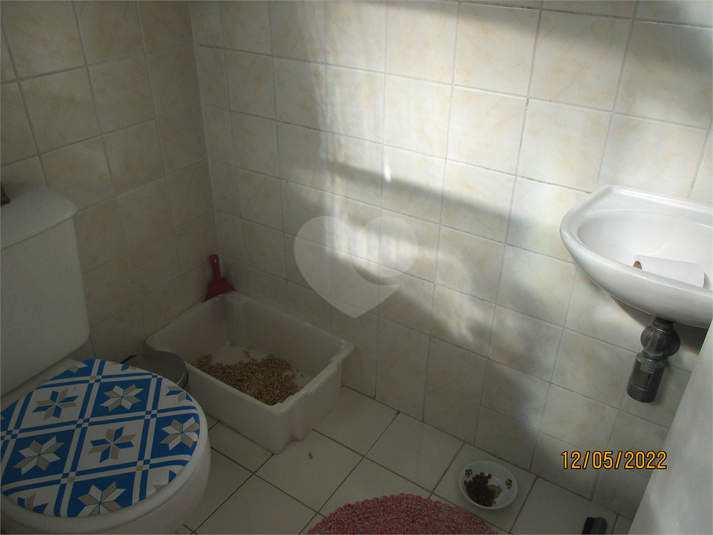 Foto REO686669