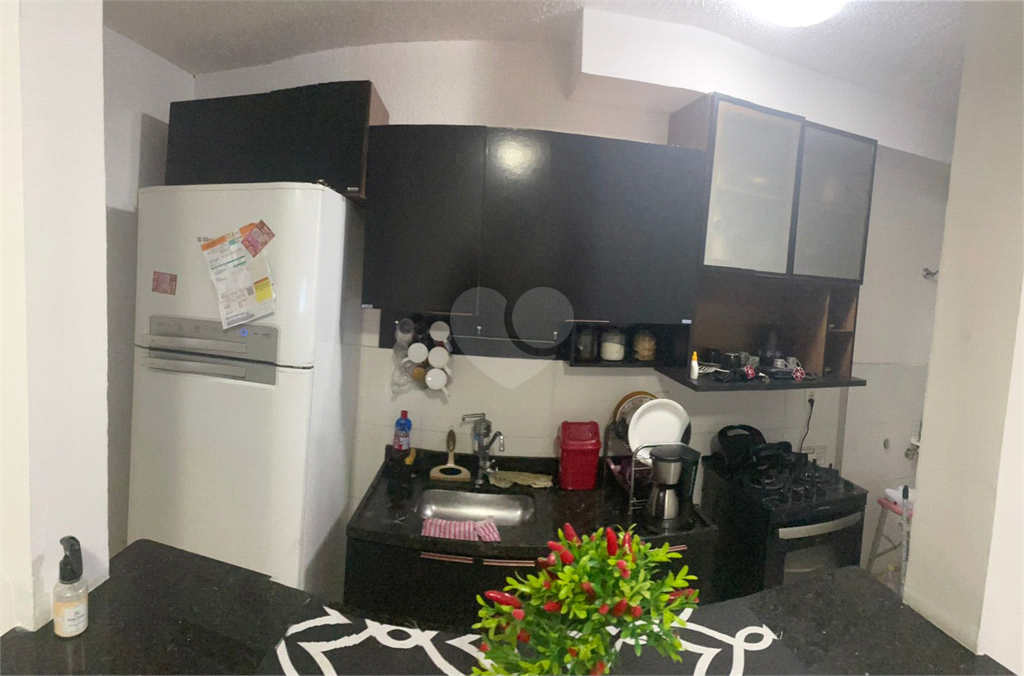 Venda Apartamento Rio De Janeiro Anchieta REO686913 11