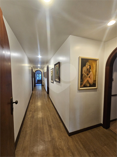 Foto REO687187