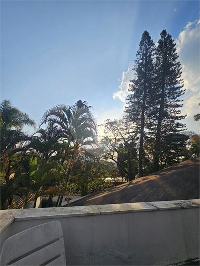 Foto REO687187