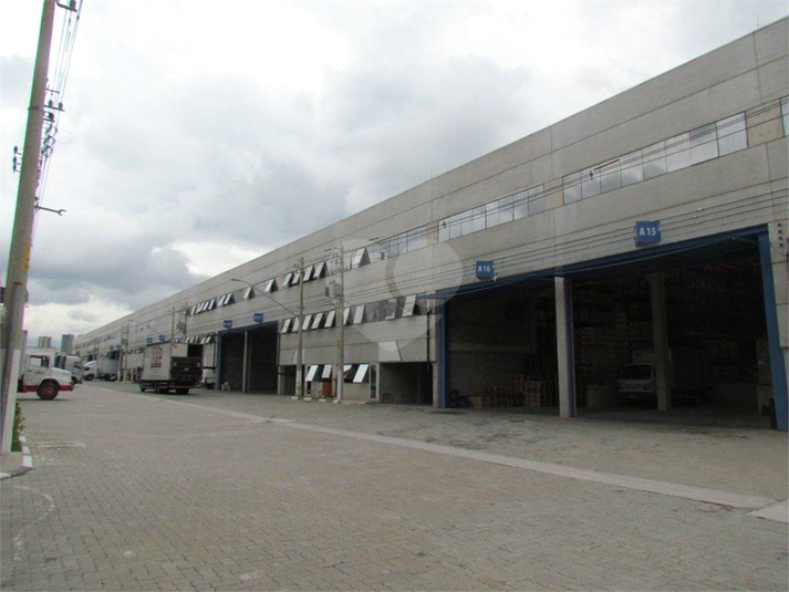 Foto REO687197