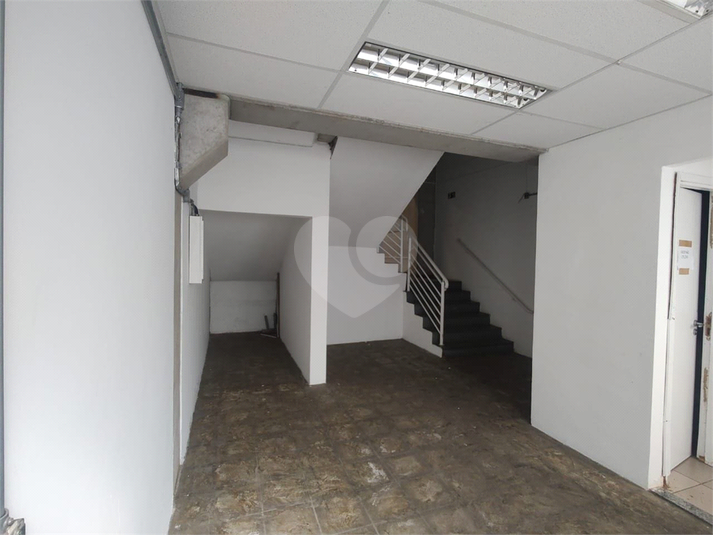 Foto REO687197