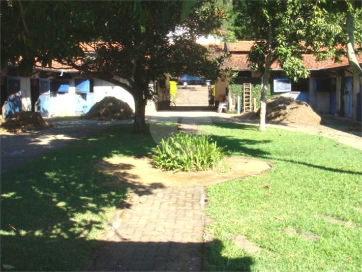 Foto REO689524