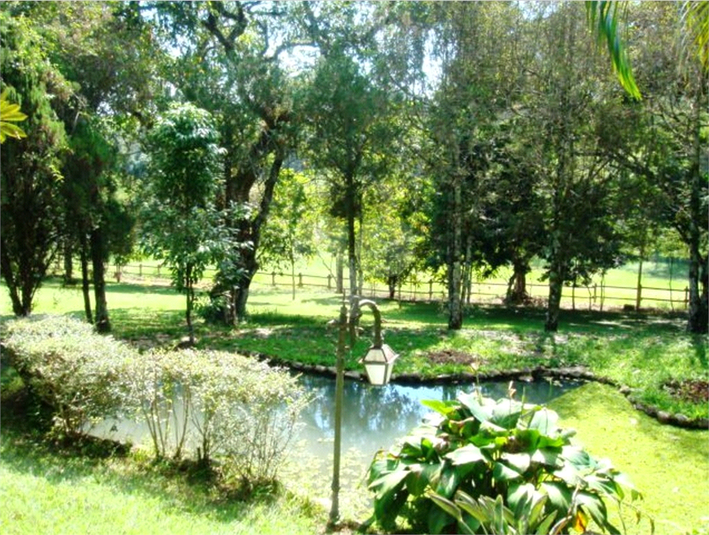 Foto REO689524