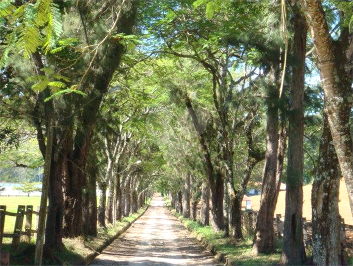 Foto REO689524
