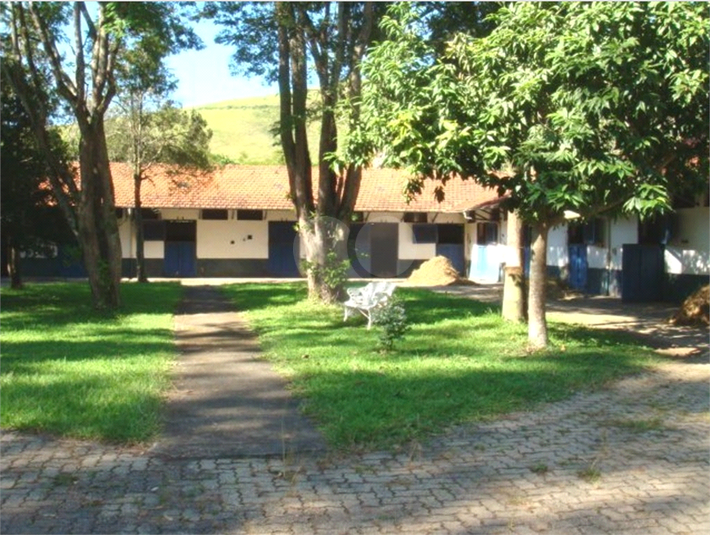 Foto REO689524