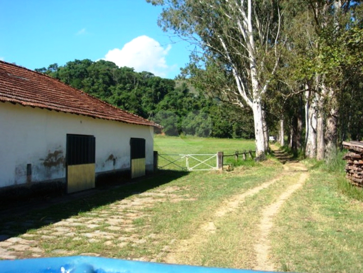 Foto REO689524