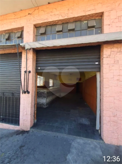 Foto REO689621