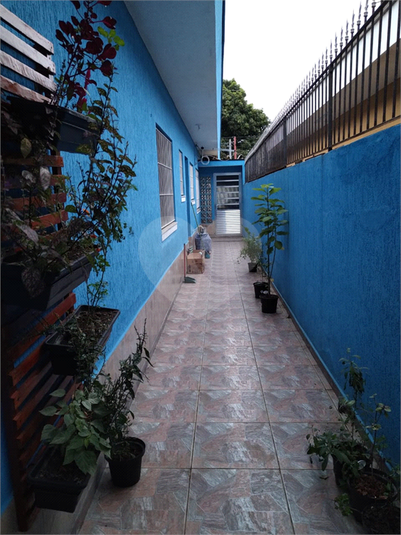 Foto REO690341