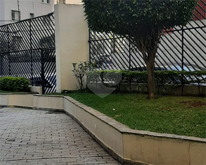 Foto REO690413