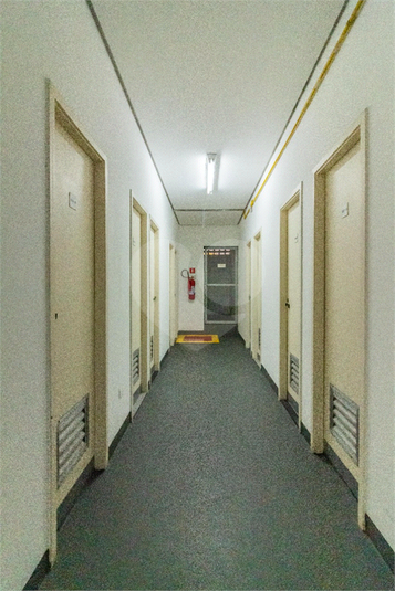 Foto REO690437