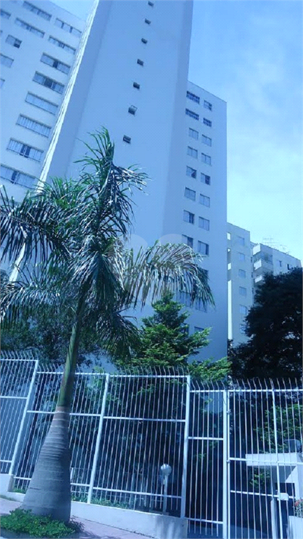 Venda Apartamento São Paulo Jardim Das Laranjeiras REO690506 13