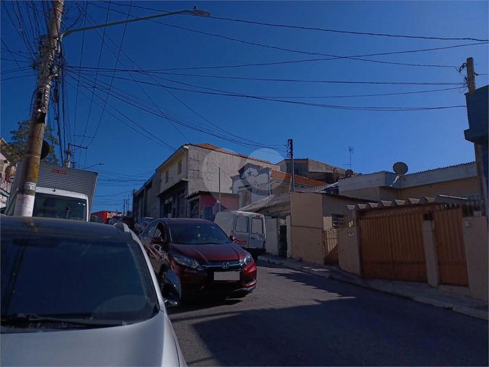 Foto REO690524