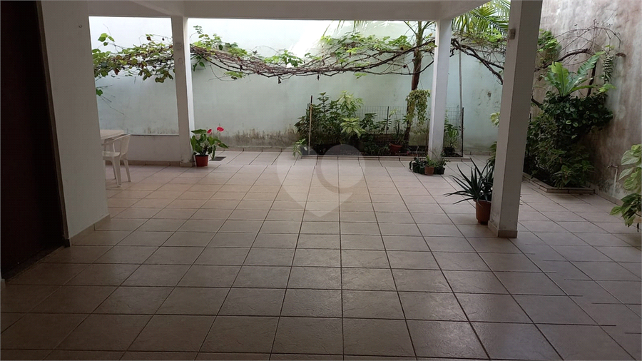 Foto REO690872