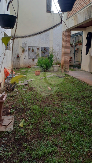 Foto REO691052
