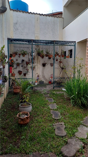 Foto REO691052