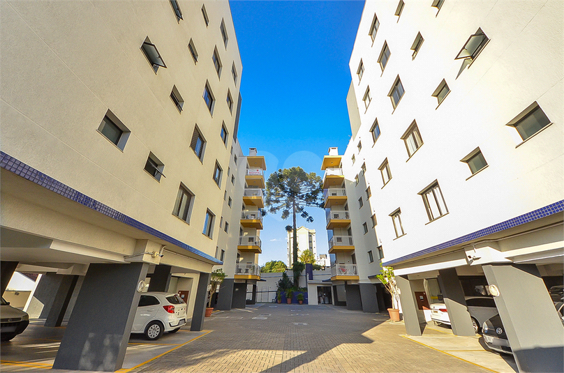 Venda Apartamento São José Dos Pinhais Silveira Da Motta REO691354 43