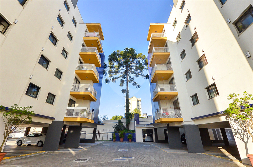 Venda Apartamento São José Dos Pinhais Silveira Da Motta REO691354 42