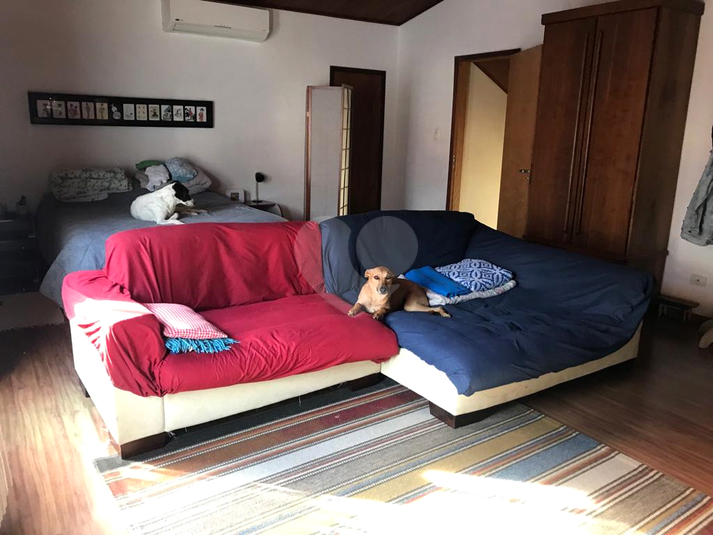 Foto REO691593