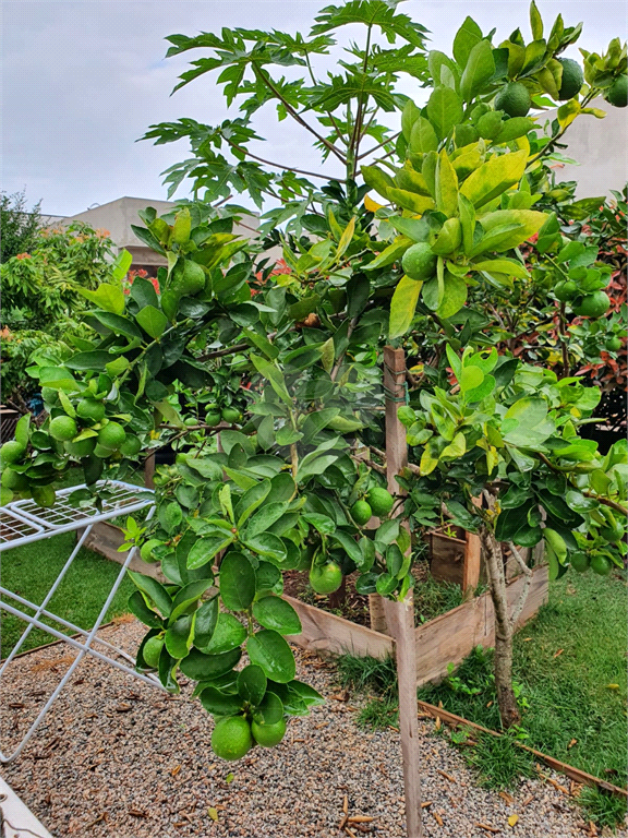 Venda Condomínio Araçoiaba Da Serra Centro REO691752 24