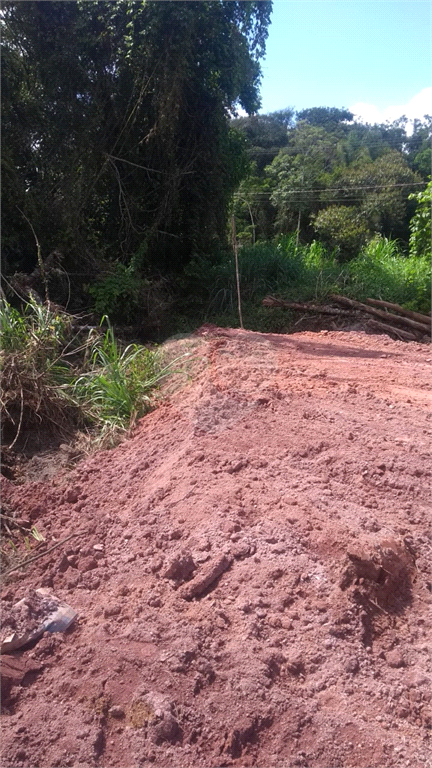 Venda Terreno Itapoá Itapema Do Norte REO692087 7