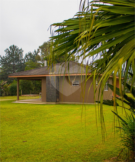 Foto REO692189
