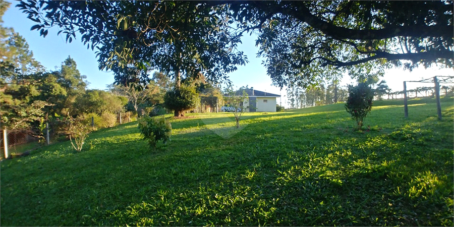 Foto REO692189