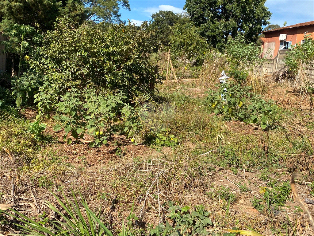 Venda Terreno São João Da Boa Vista Solário Da Mantiqueira REO692256 1