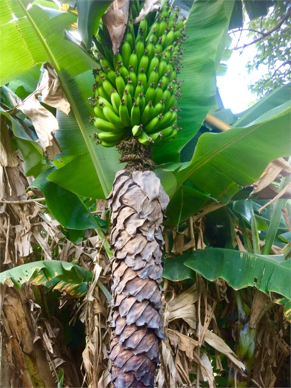 Venda Condomínio Itatiba Parque Da Fazenda REO692493 26