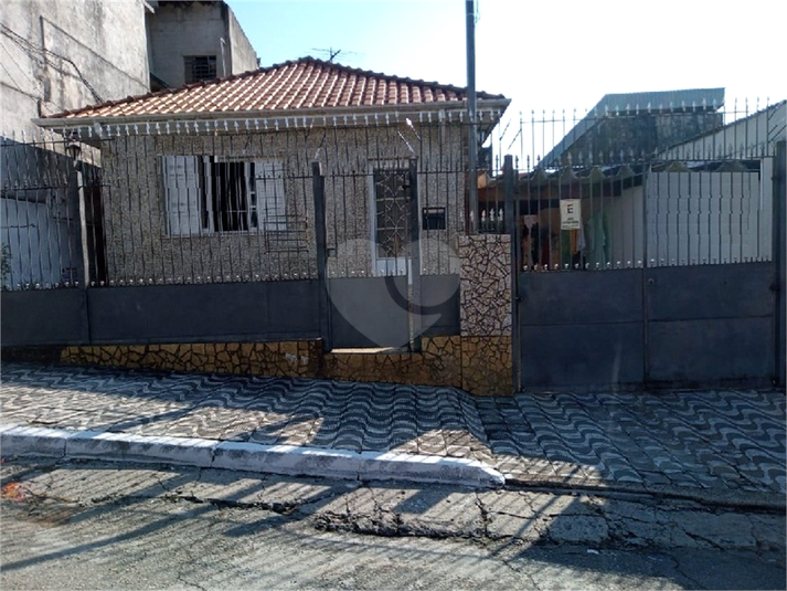 Foto REO692663